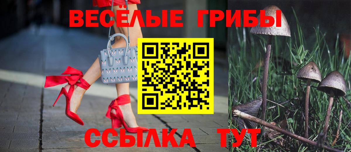 Галлюциногенные грибы MAGIC MUSHROOMS  Галлюциногенные грибы MAGIC MUSHROOMS  Вход с VPN  Нурлат 